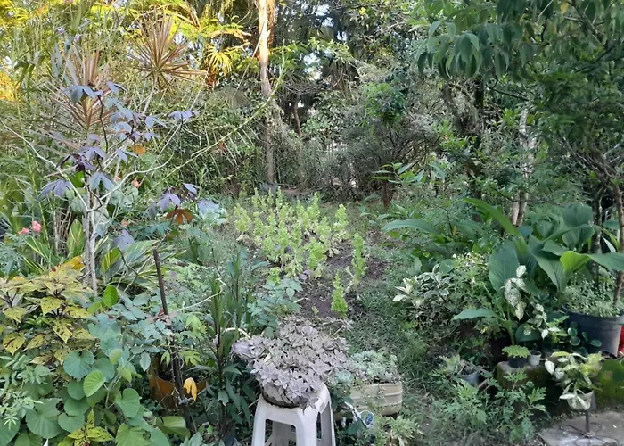 Casa Beira Rio